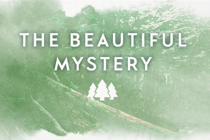 The Beautiful Mystery: A Chief Inspector Gamache Novel