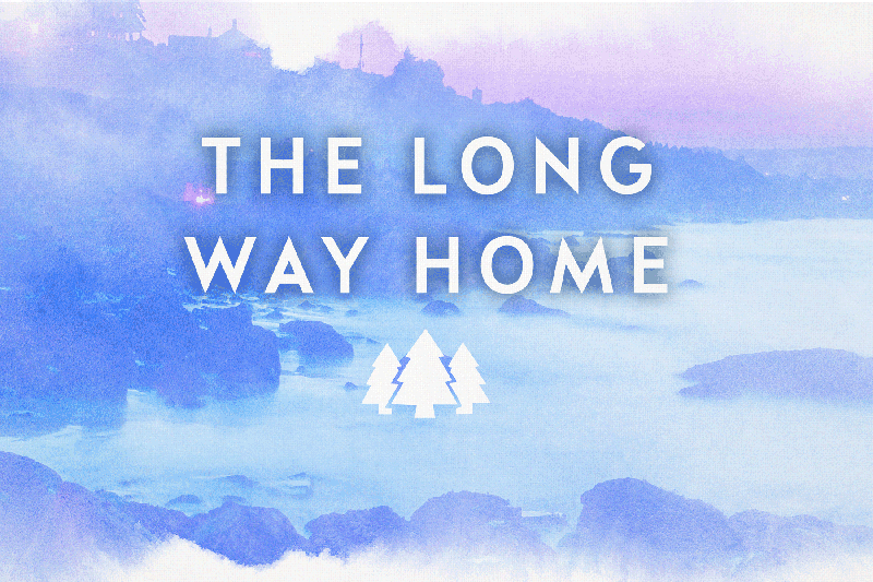 The Long Way Home: A Chief Inspector Gamache Novel by Louise Penny