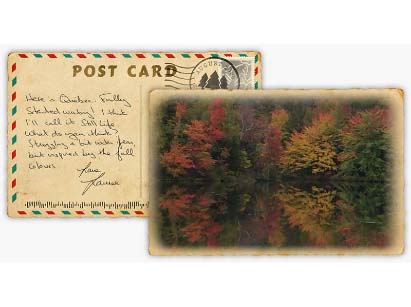 POSTCARDS FROM THREE PINES STILL LIFE