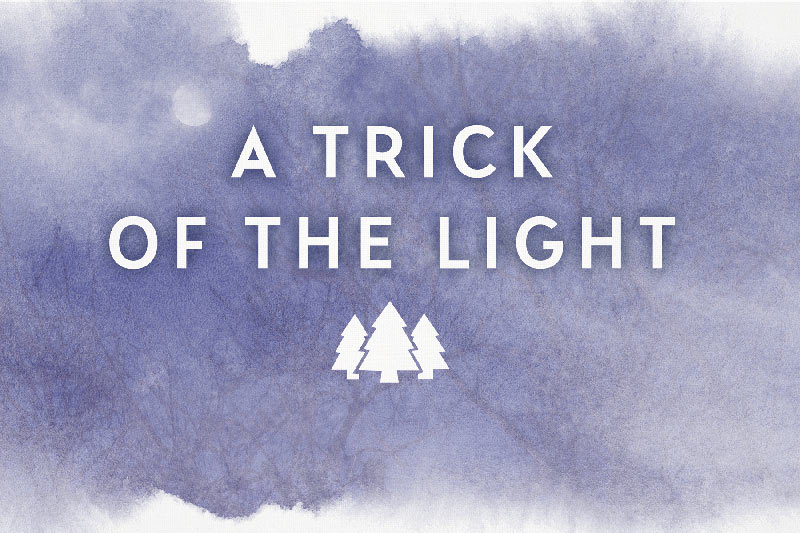 A Trick of The Light  Chief Inspector Gamache Series