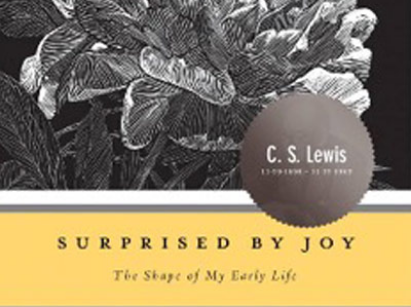 StillLife Surprised By Joy Book V2