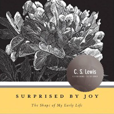 StillLife Surprised By Joy Book V2